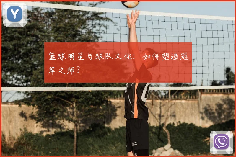 篮球明星与球队文化：如何塑造冠军之师？