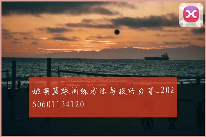 姚明篮球训练方法与技巧分享_20260601134120