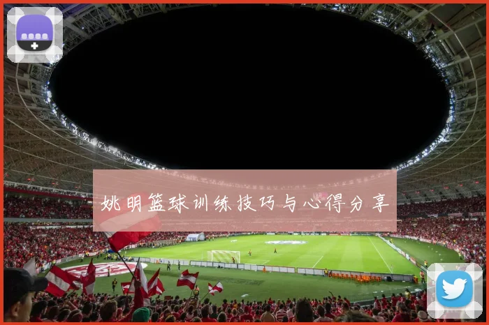 姚明篮球训练技巧与心得分享